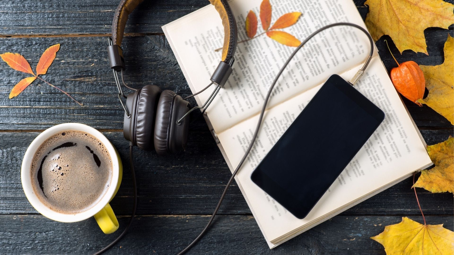 Top Audiobook Apps for Every Book Lover