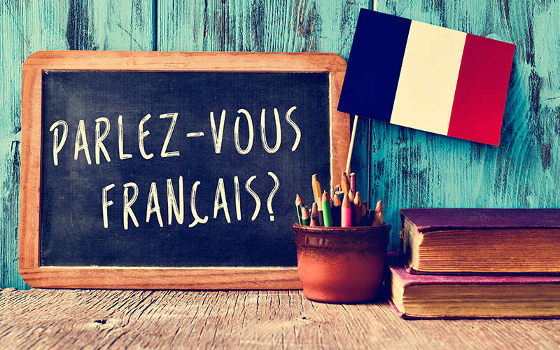 App to Learn French Quickly and Easily